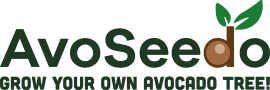 AvoSeedo â€“ Grow your own Avocado Tree!