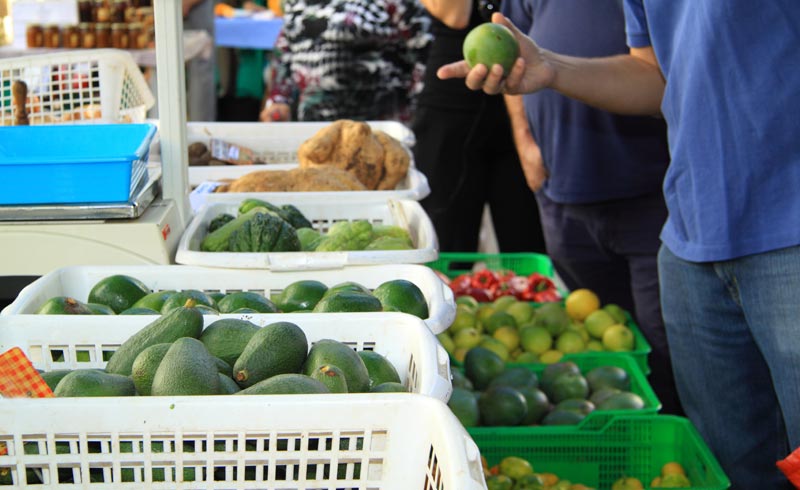 How to choose the right avocado