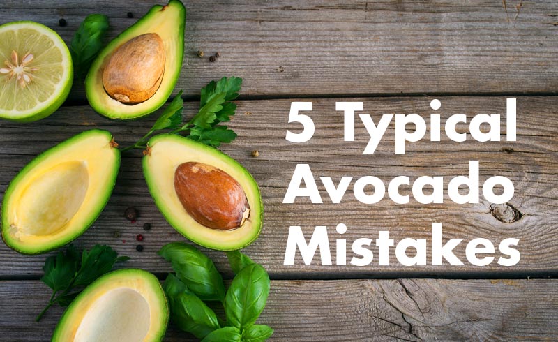 5 Typical Avocado Mistakes