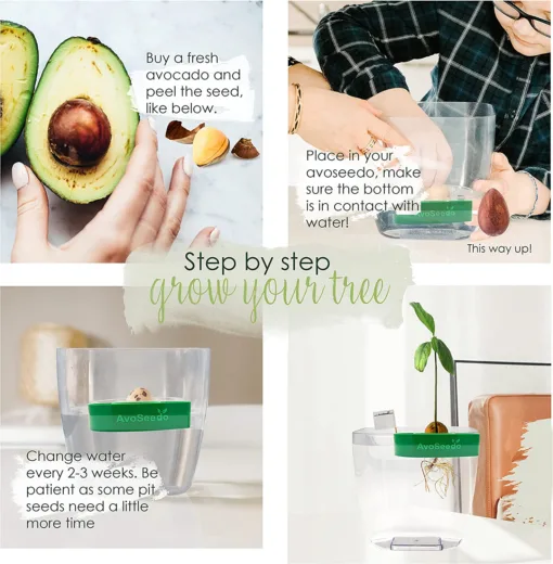 Plant Pot Set - Image 4