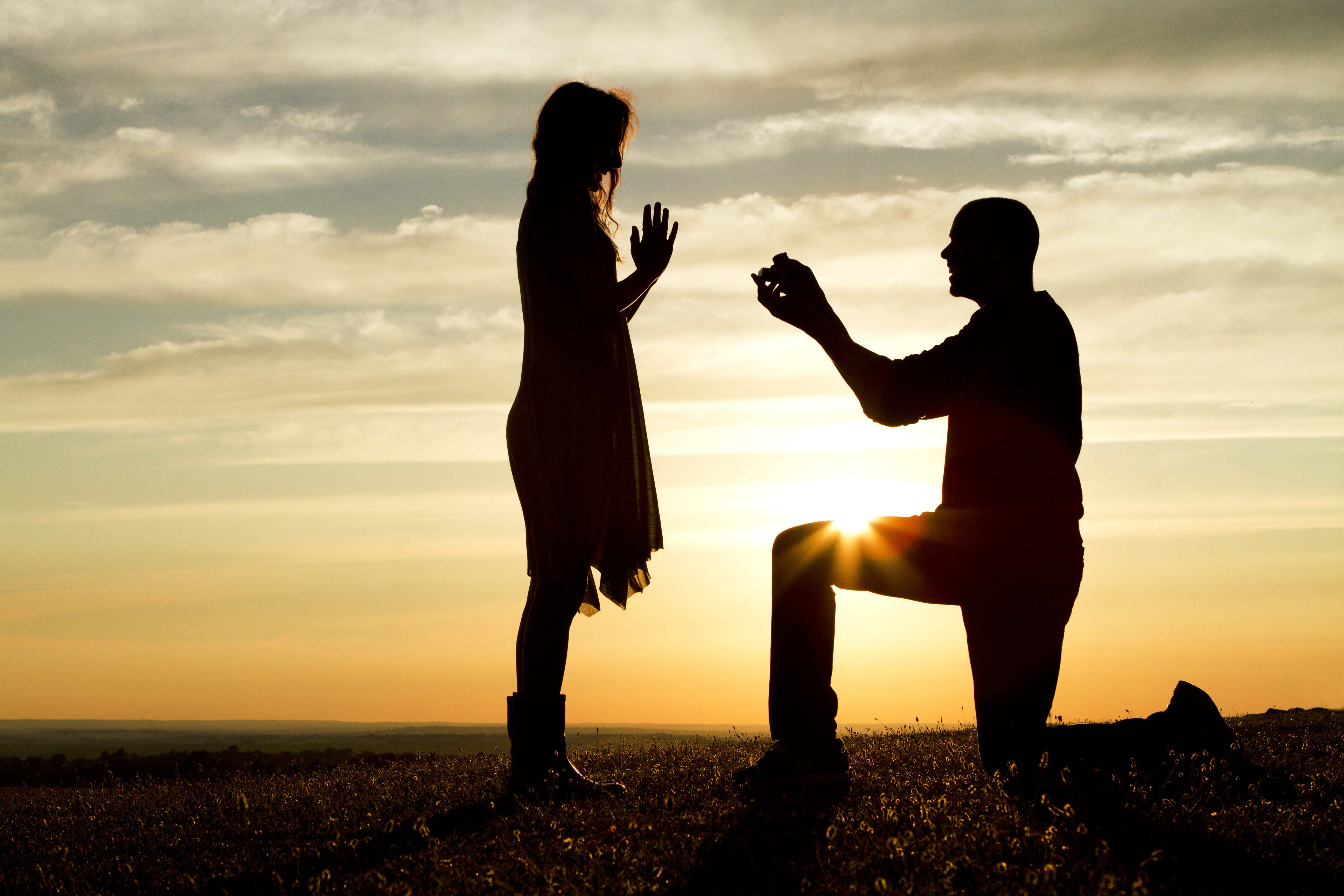 Avocado Proposal