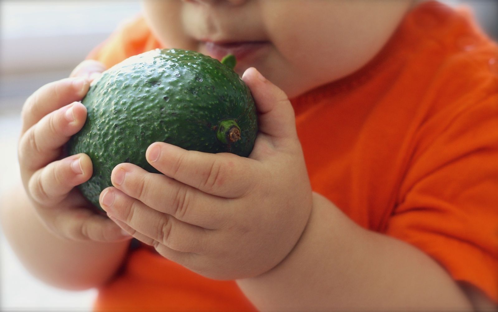 Avocado For Your Baby: Introducing the Superfruit to the ...