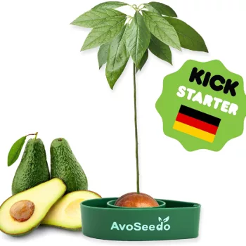AvoSeedo
