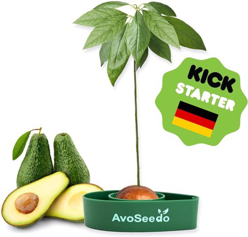 AvoSeedo