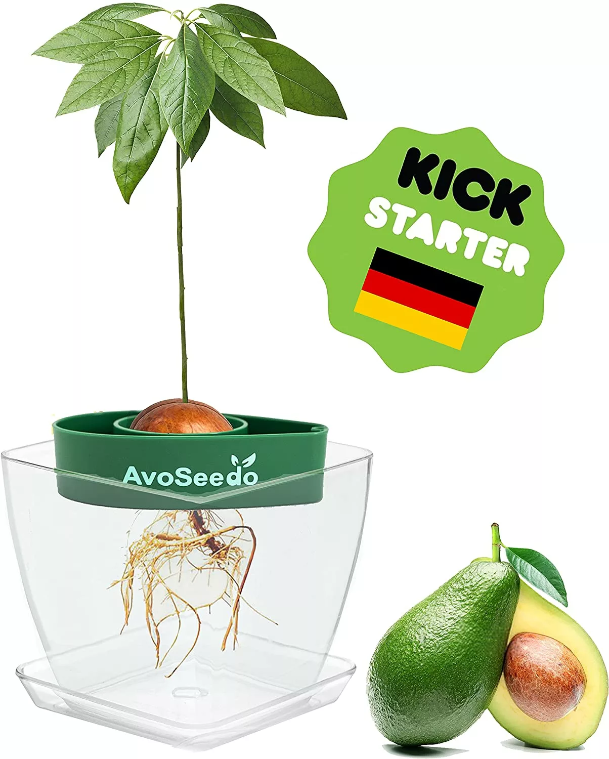 Plant Pot Set