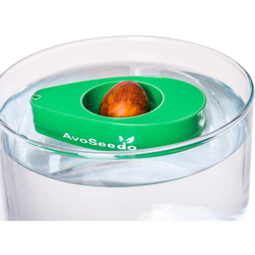 AvoSeedo - Image 6
