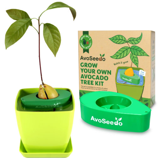 Plant Pot Set - Image 9