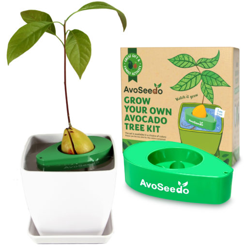 Plant Pot Set - Image 8