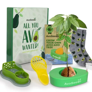 Avocado Lover Gift Box