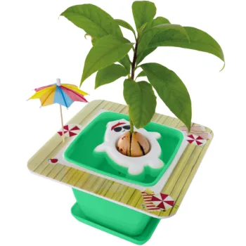 AvoSeedo Pet Avocado